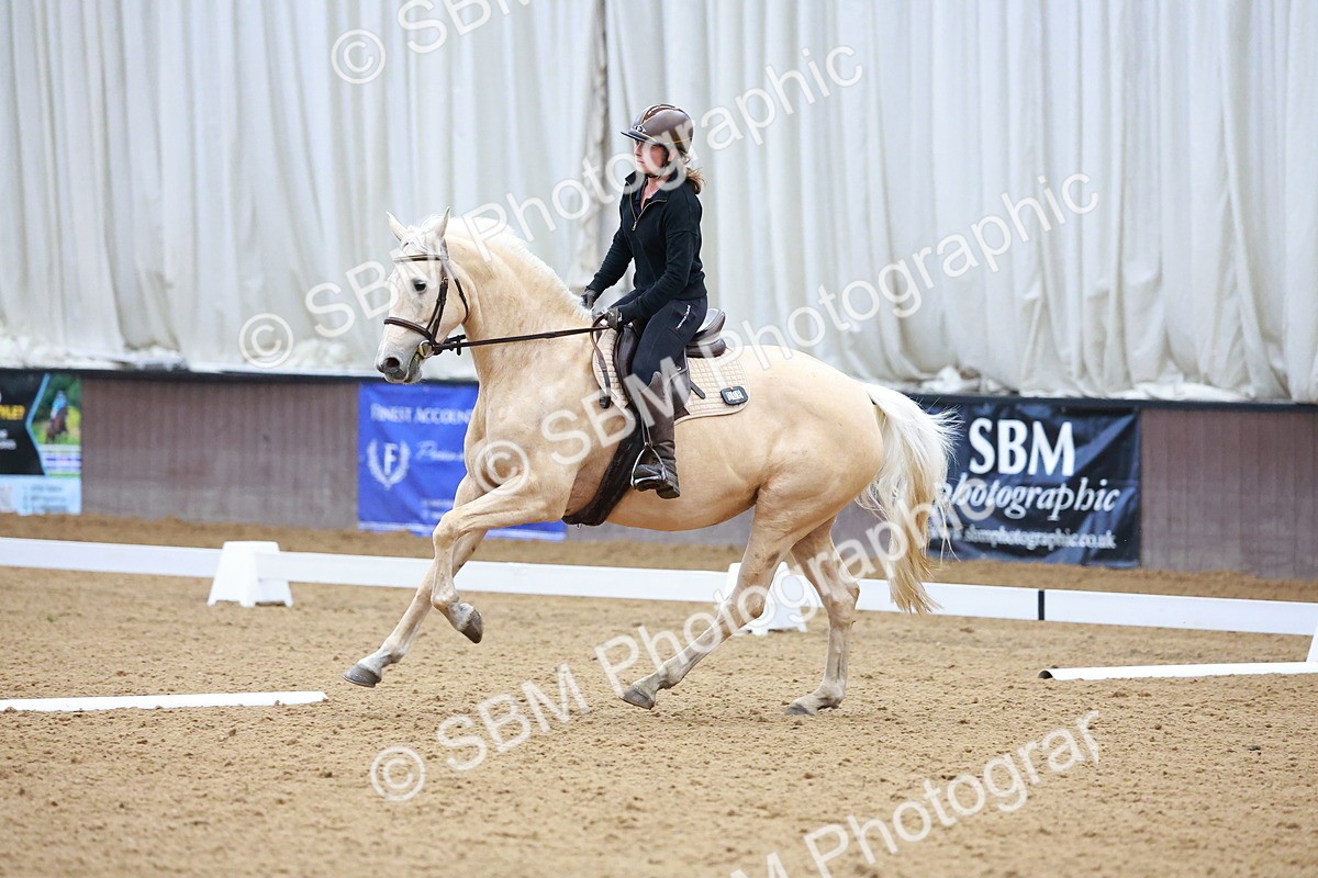 1I0A0632 - Class 3-6 - Prelim 1-Novice 2