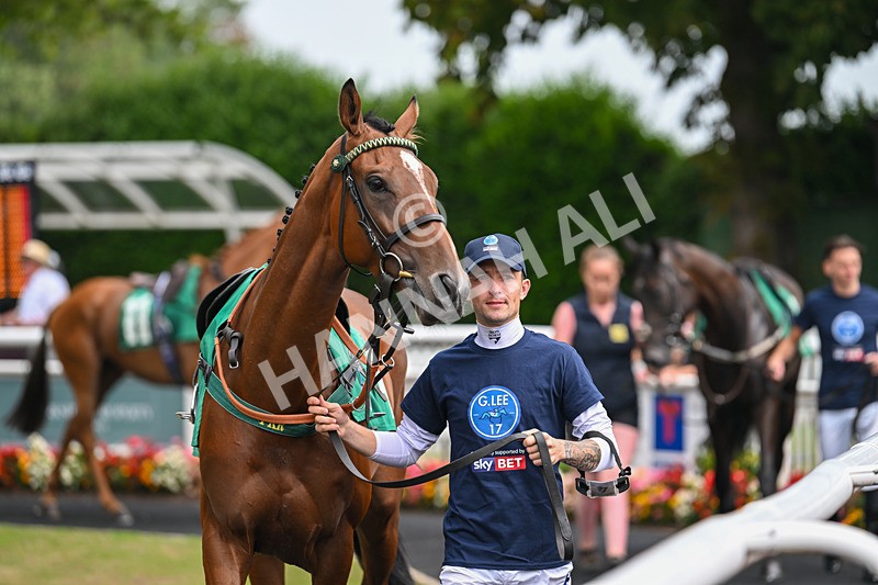 250725-Graham Lee IJF Stable Staff Stakes-B-3242 - The Graham Lee IJF Fund Stable Staff Stakes