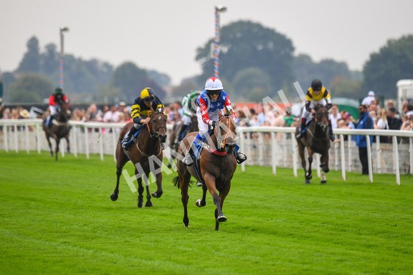 100923-Pony Race 1-Seal The Deal-0077 - Pony Race 1 12.25 The Dragon (TV and Film) Studios Pony Race 148cm & Under