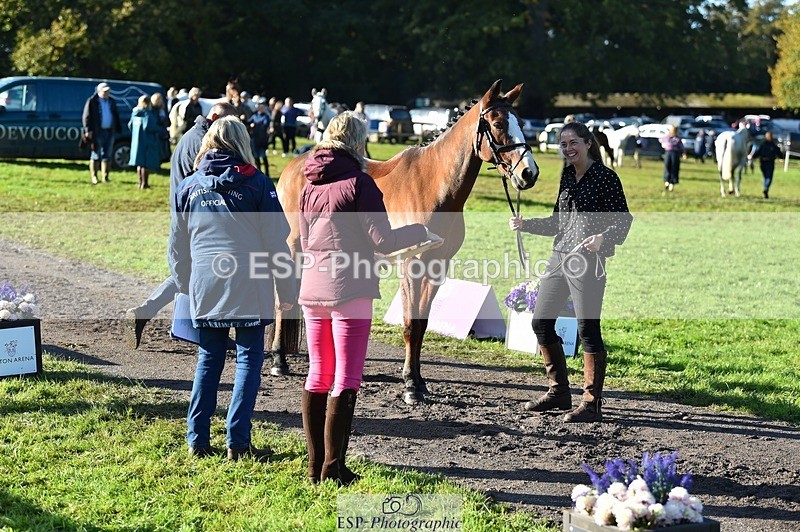 231022-101454-22340 - 470-DVΓÇÖS.ROCKY-Lauren.Collard-TrotUp+SJ