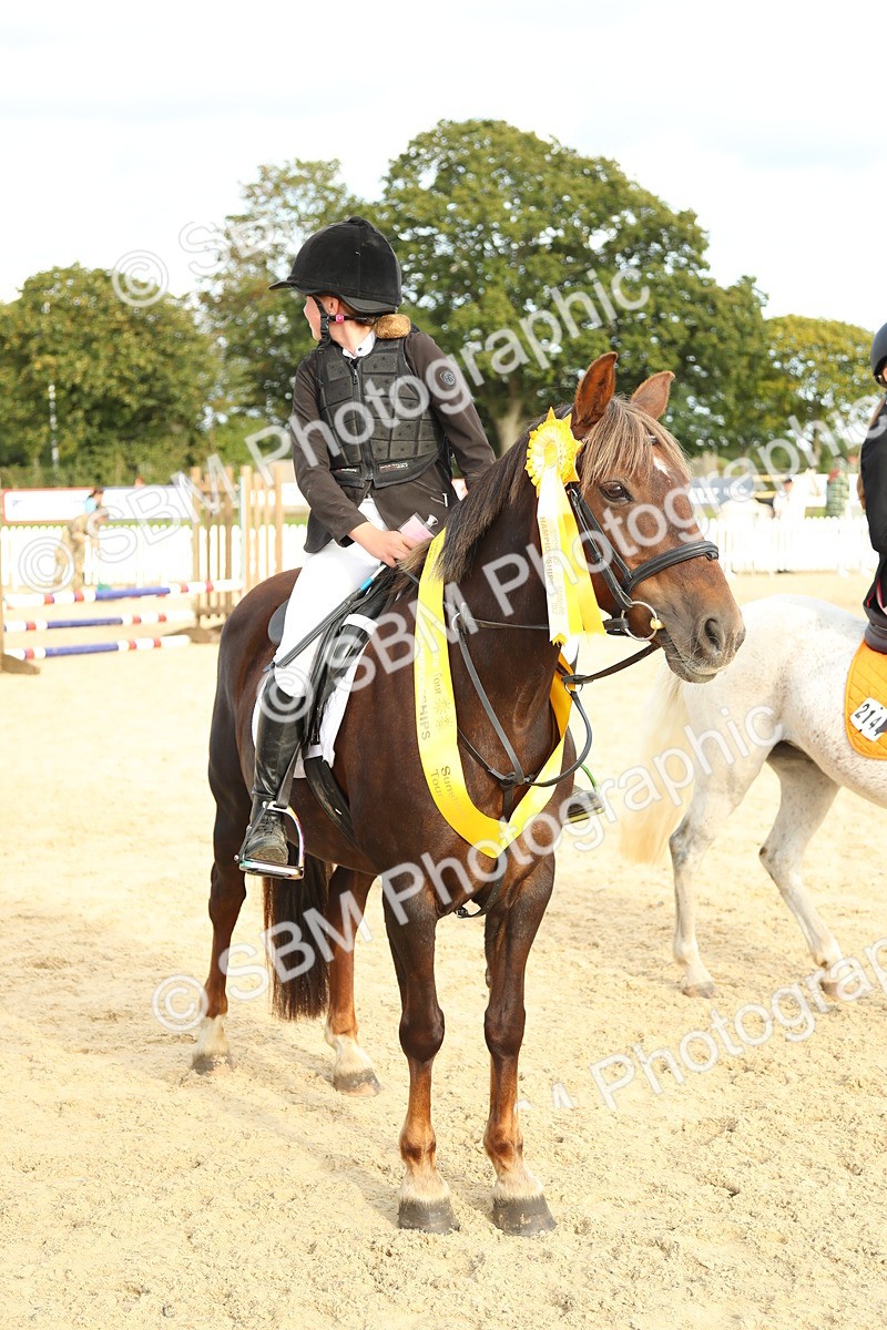 SBM_51731 - J7 - Junior Pony 60cm Championship