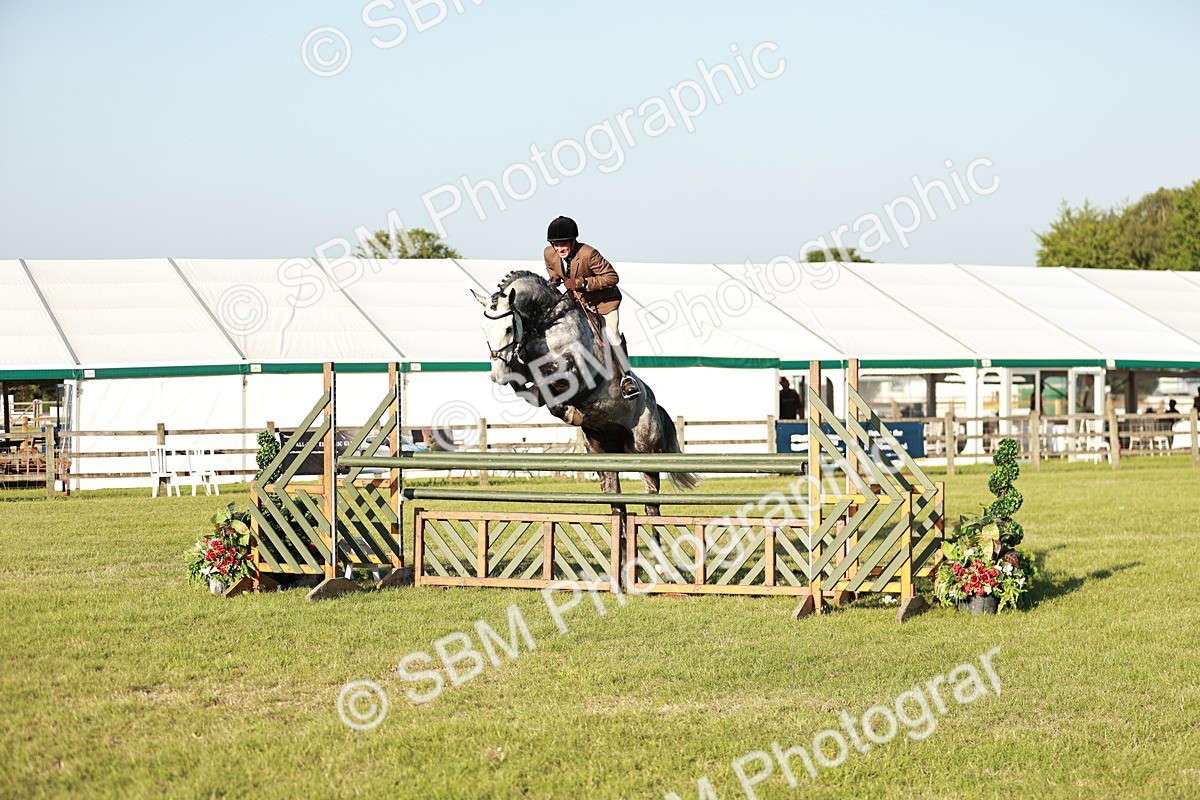 SBM_20405 - Class 117-119 - Sport Horse Working Hunter