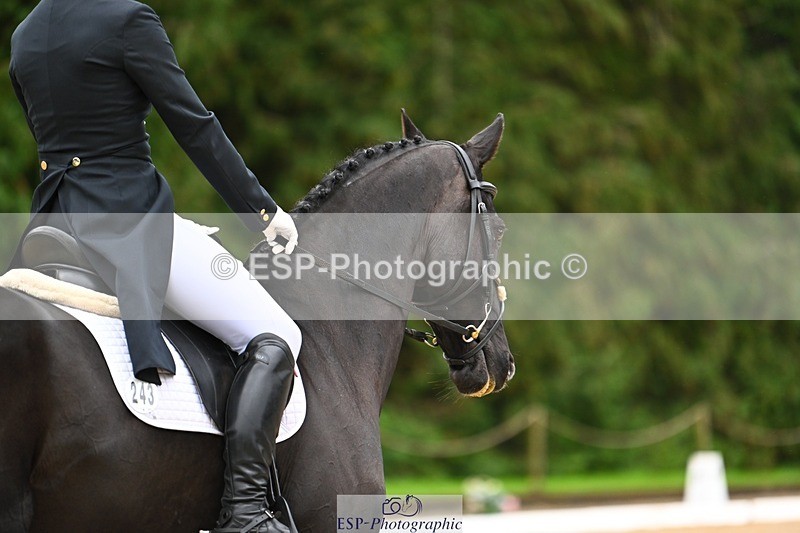 231021-120801-14913 - 243-CALZINI-Evelyn.Titterton-DR