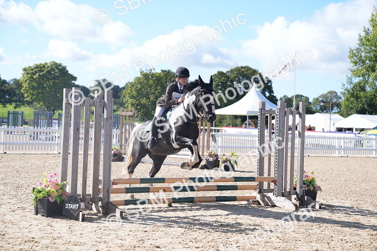 SBM_02413 - J54 Clear Round 45cm
