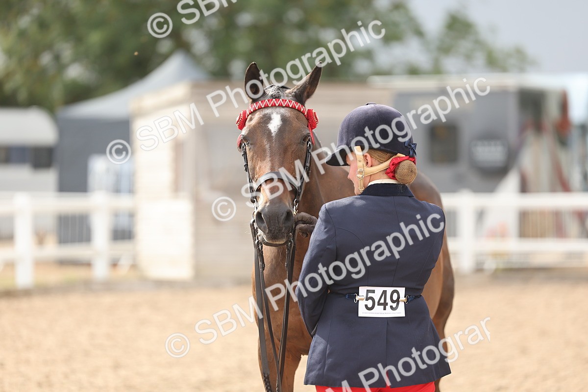 SBM_06895 - Class 25 - IH Foreign Breeds - Purebred