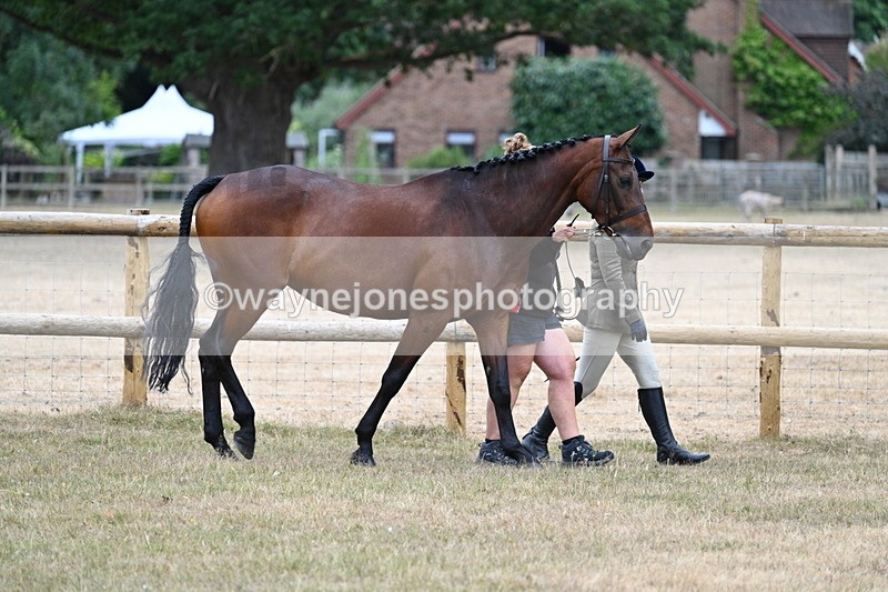 WJ7_8691 - Class 4a Prettiest Mare 14.2hh and over