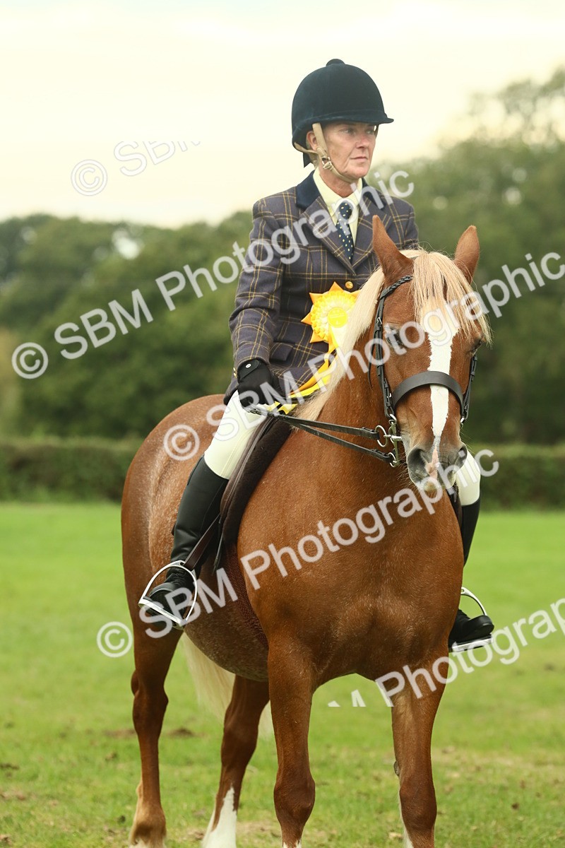 SBM_72324 - S60 - Mountain & Moorland Ridden Large Breeds