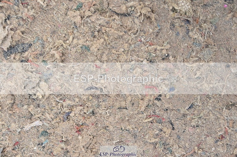 231013A-140816-02504 - Cls 4 1.10 Amateur Quali & Open