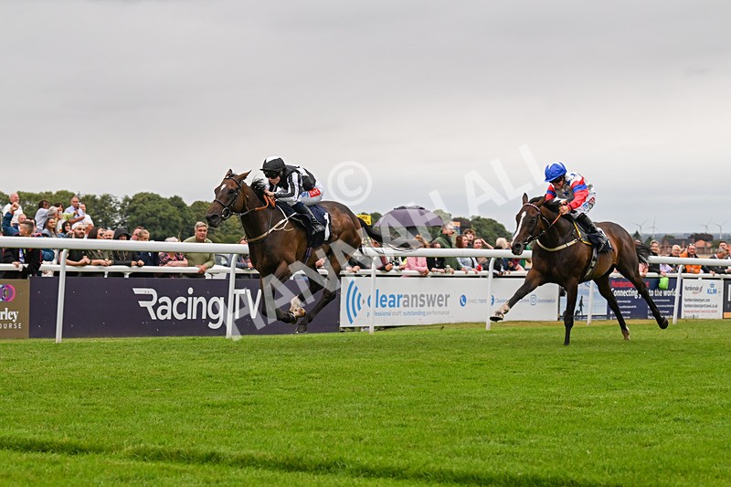 150824-Race 5-Pons Aelius-8314 - Race 5