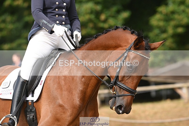 250719A-095116-03117 - 101-Sophie.Douglas-Paquino.V'ant.Goovahof