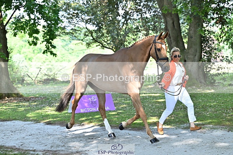 250521A-153747-00646 - B-370-Emma.Hyslop-Webb-KBS.TIME.TRAVEL