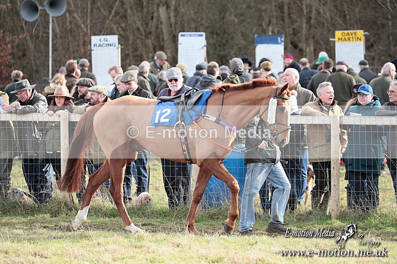 PtP 220225 425 - Kimblewick Point-to-Point  Kingston Blount 22/02/25
