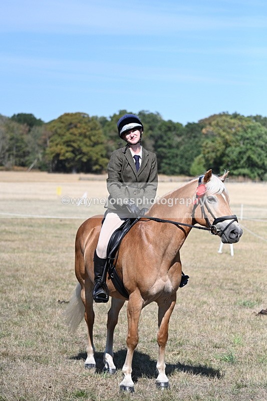 WJ7_1312 - Class 41 Prettiest Mare