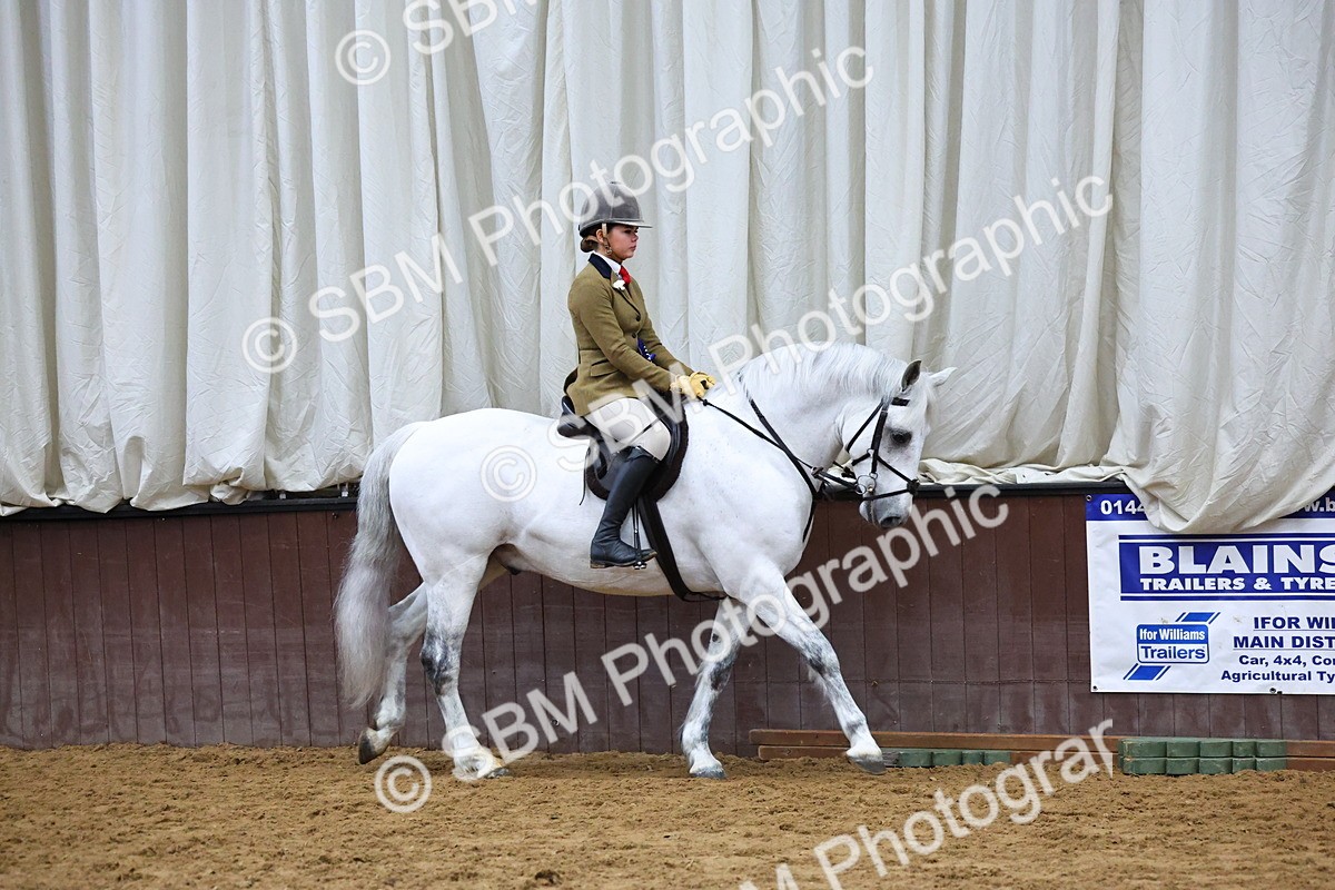 SBM_005569 - M&M Novice WHP Championship