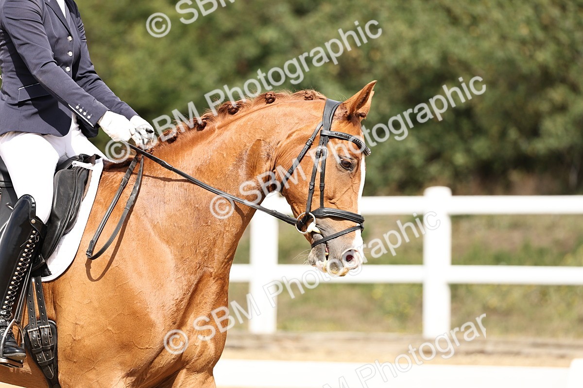 SBM_018320 - Class 16 - Novice 5 - 11.12-12.01