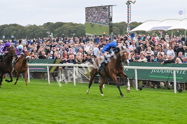 200825-Race 4-Ombudsman-1632 - Race 4 3.35pm Juddmonte International Stakes