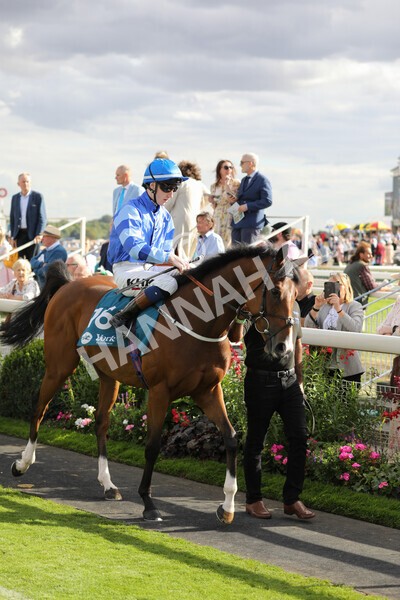 yr19082022r7-8 - Race 7 5.20pm Sky Bet Mile Stakes