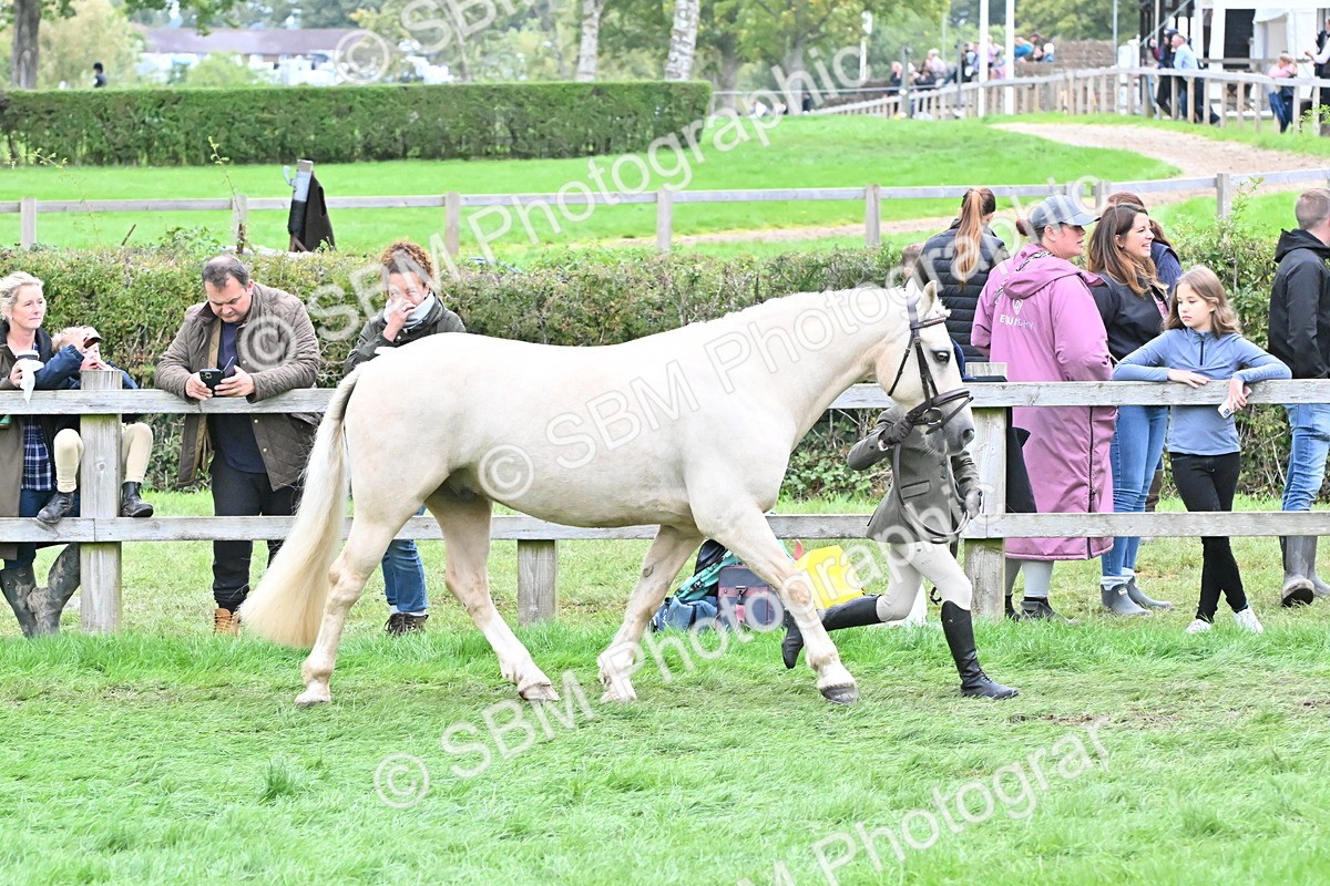 SBM_68571 - S42 - Junior Handler 9-12 Years