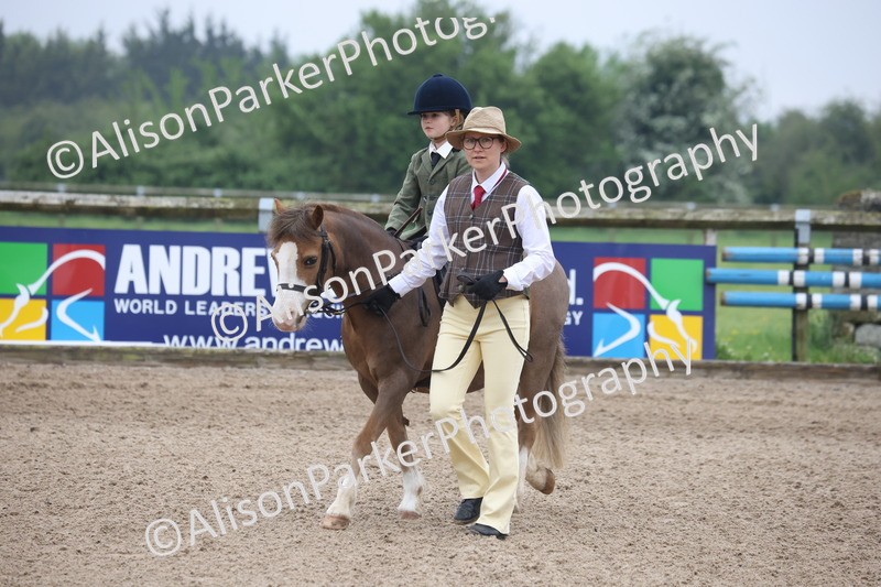 20260504-0094 - Class 9 - Lead Rein Pony