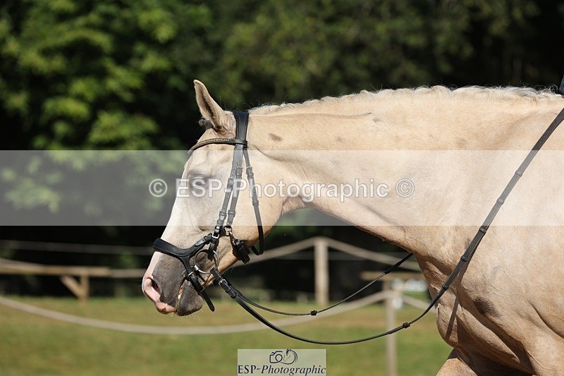 240719-091302-00081 - 108-Catherine_Boyd-Dantes_Spring