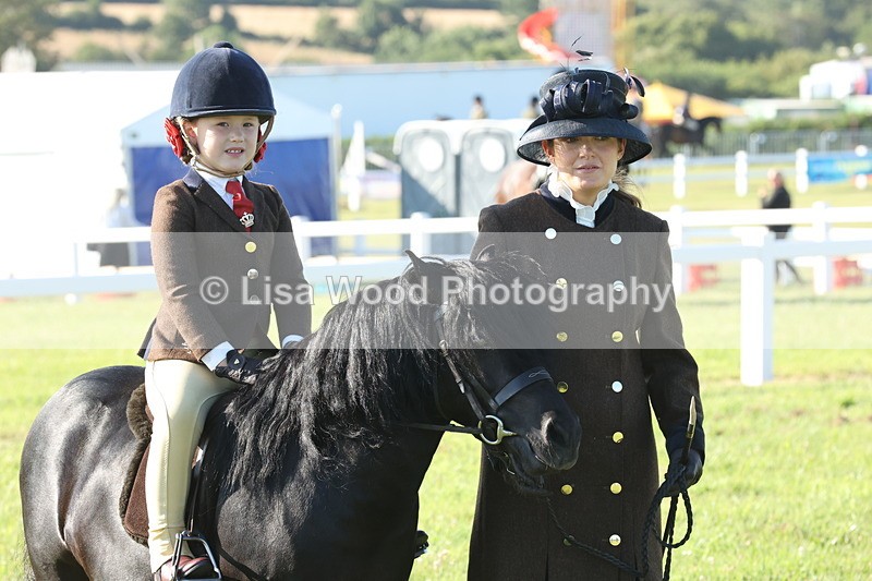 JPP_0722 - Class 16: Cornish Combination Leading Rein