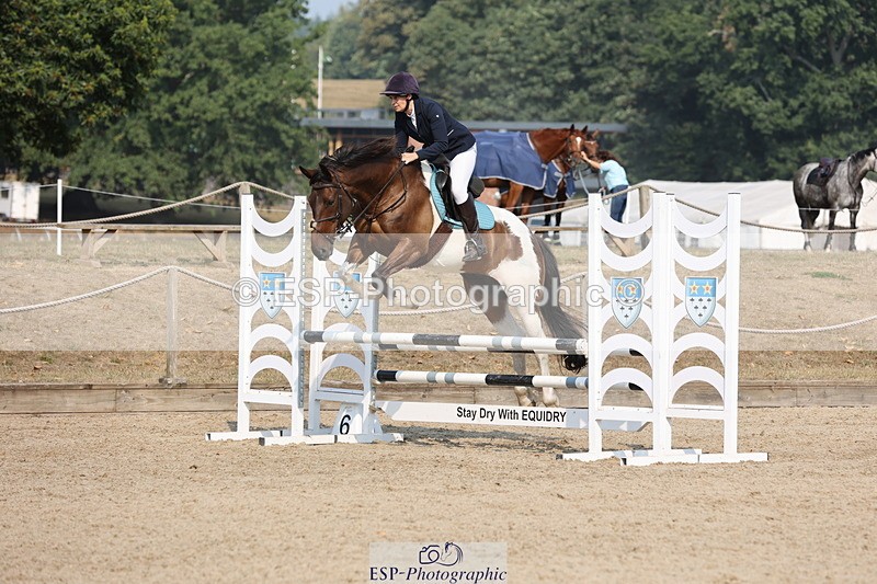 250816A-102127-00670 - Cls 3 Snr British Novice