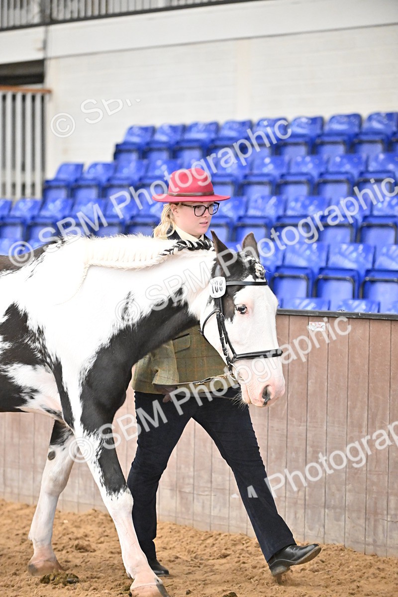 SBM_000270 - Class 10 - In Hand Coloured & Odd Coloured