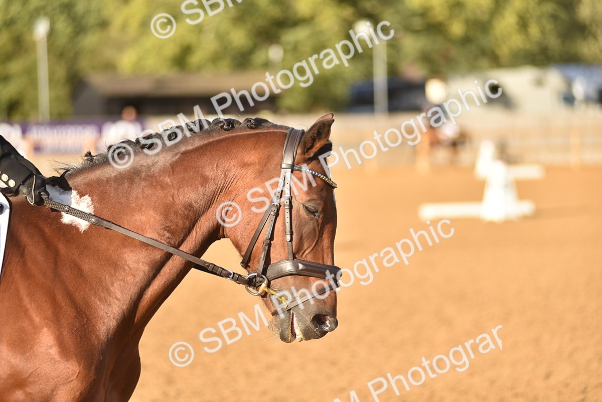SBM_53416 - D24 - Junior Championship Prelim 3