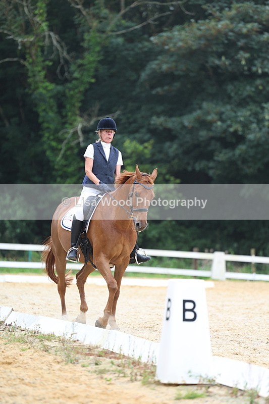 3E7A7434 - Class 9: Elementary 4 2024 - No sections