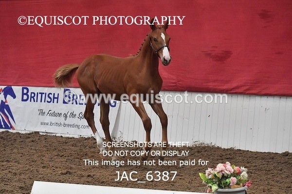 JAC_6387 - 19 Luca