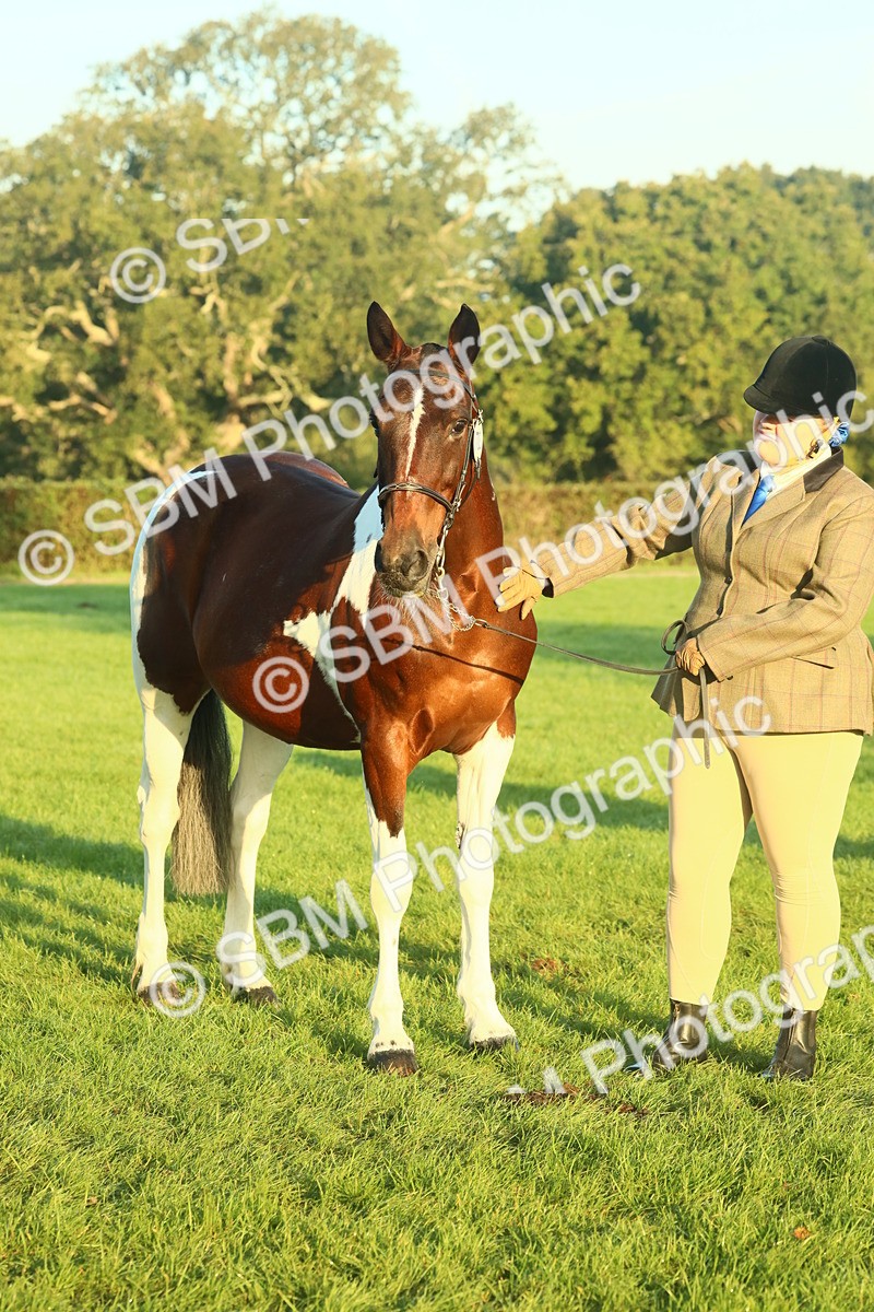 SBM_56531 - S36 - Starters Best Turnout