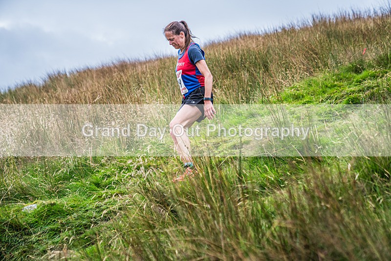 Steel Fell-674 - Steel Fell Race Wednesday 7th August 2024