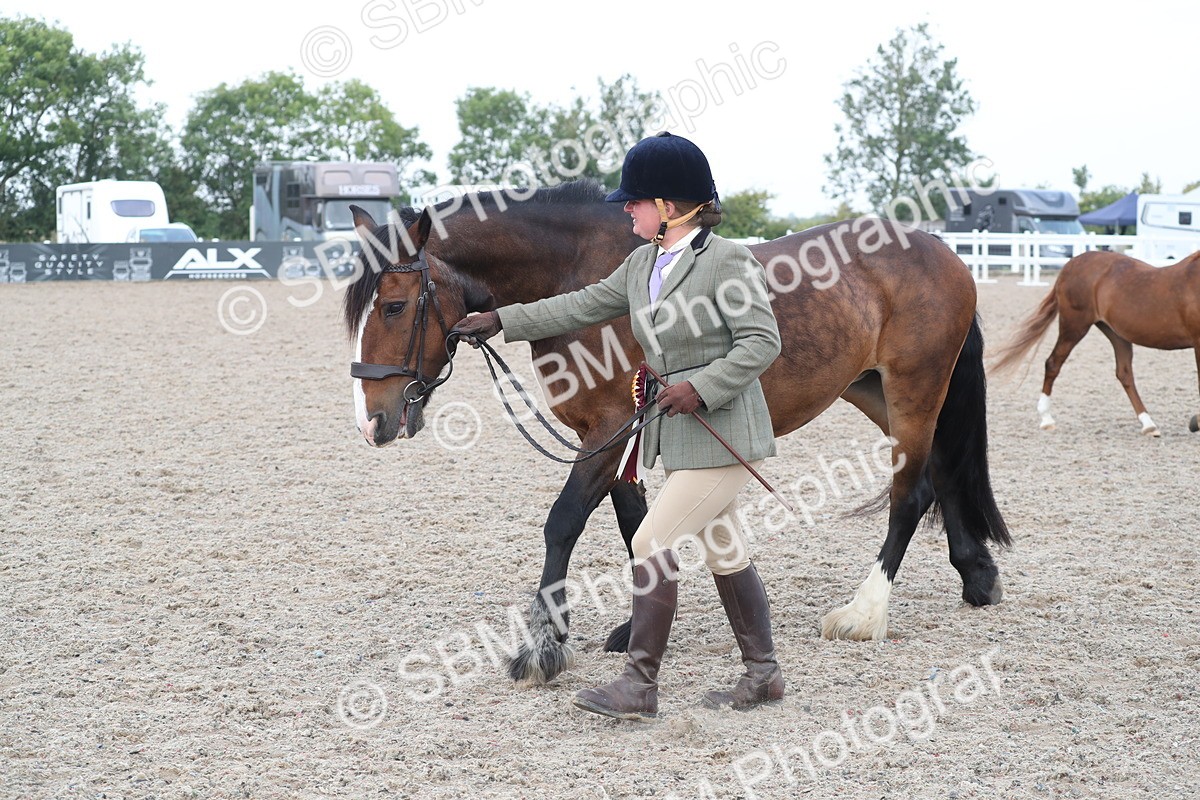 SBM_22613 - Class 604 - 2025 Area - IH Diamond