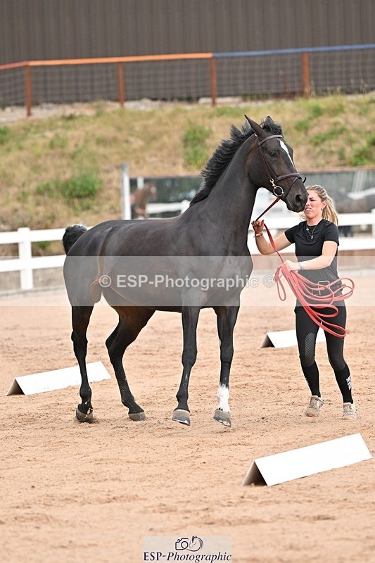 250716-151412-01801 - Trot Up 2.30 to 3.30