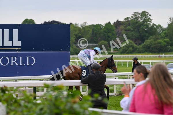 250524-Race 4-Term Of Endearment-3466 - Race 4 3.20pm William Hill Bronte Cup Fillies' Stakes