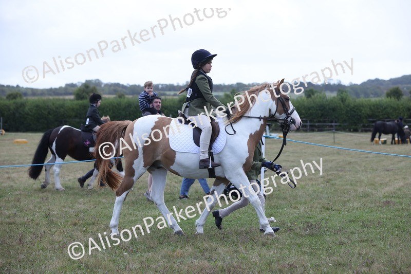 20250831-2406 - Class 16 - Family Pony