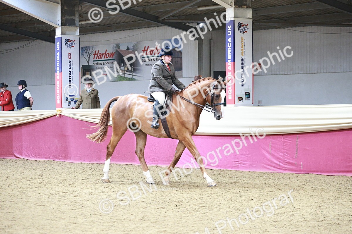 SBM_08761 - Class 12R - Regional Ridden Pre-Vet