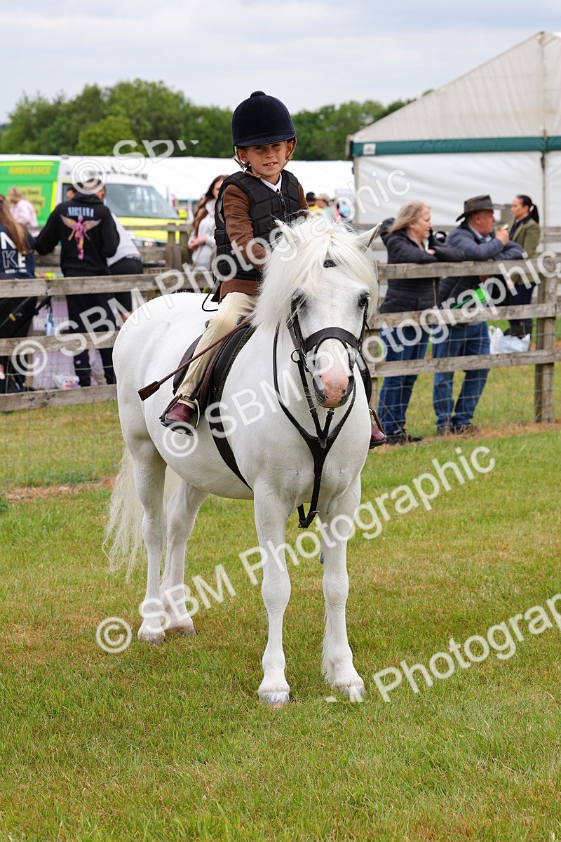 SBM_08800 - Class 42-43 - LIHS BSPS Heritage Working Sports Pony