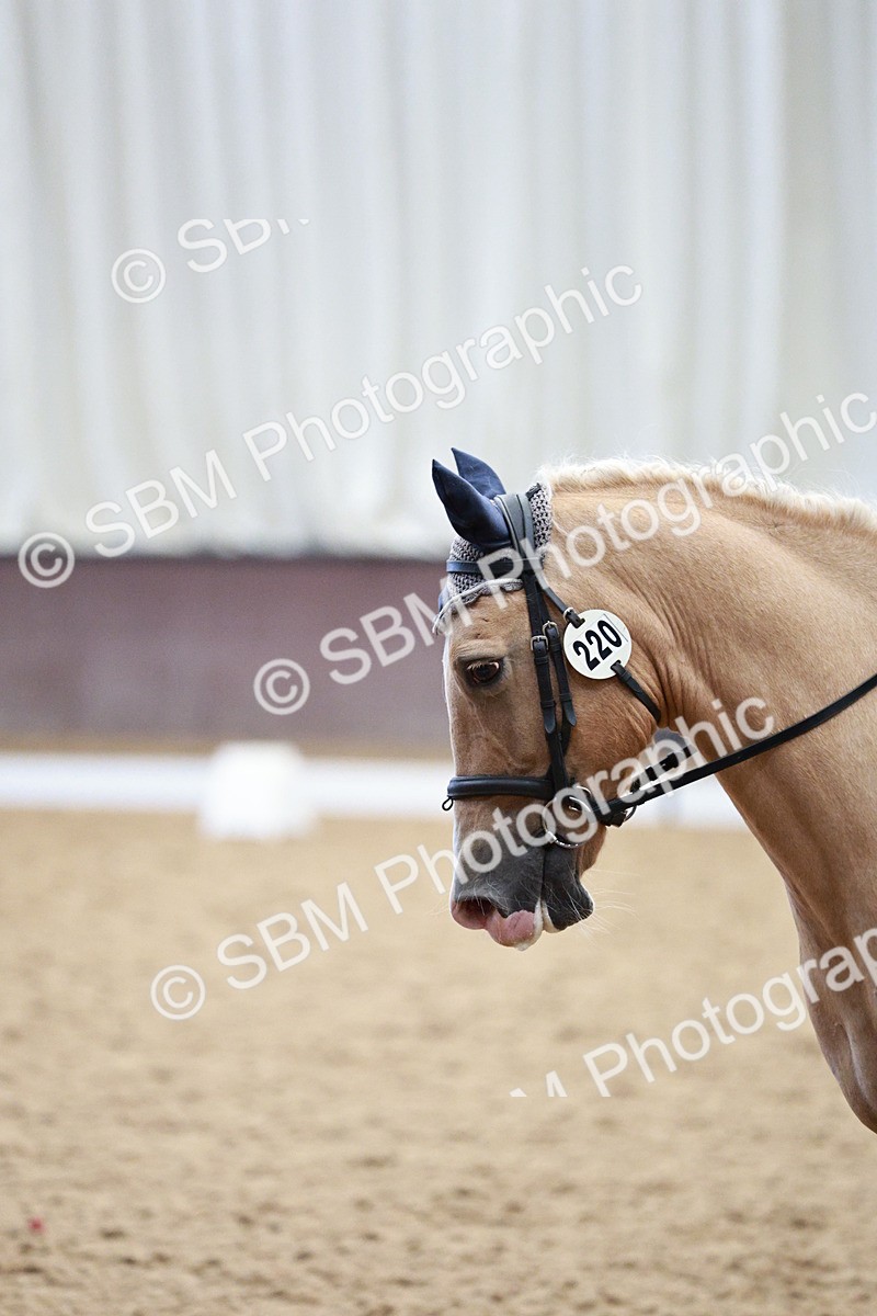 SBM_004660 - Class 13 - Novice FSM - 10.10-9.54