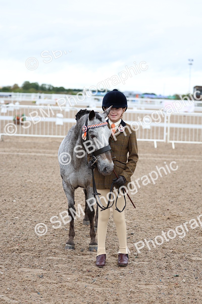 SBM_00259 - Class 13 - Young Handler
