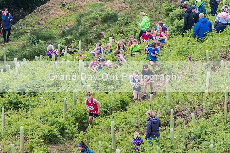 Coniston Juniors-62 - Coniston Gullies Junior Fell Races Sunday 25th May 2025