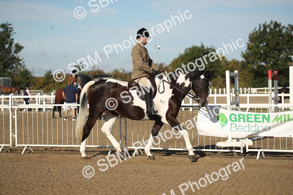 SBM_11259 - Class 501 -Riding Club Pony