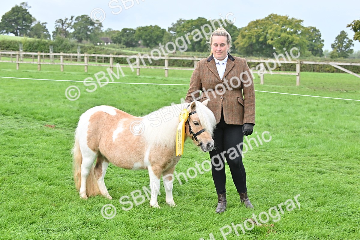 SBM_57005 - S45 - Coloured Pony In Hand