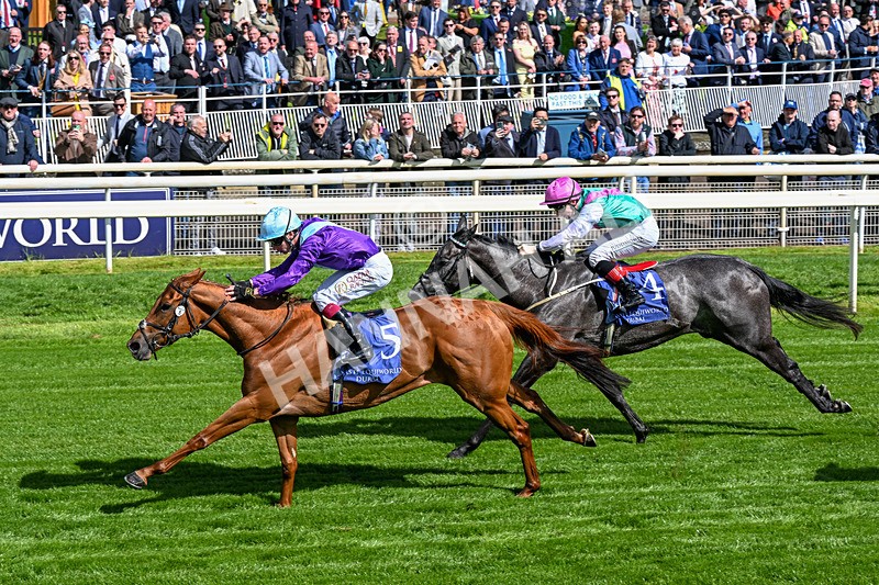 140526-Race 4-See The Fire-0217 - Race 4 3.30pm Al Basti Equiworld Dubai Middleton Fillies' Stakes