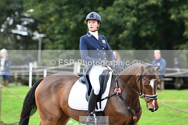 231019-122222-02741 - 044-COOLEY.ON.THE.CARDS-Charlotte.Cooke-DR