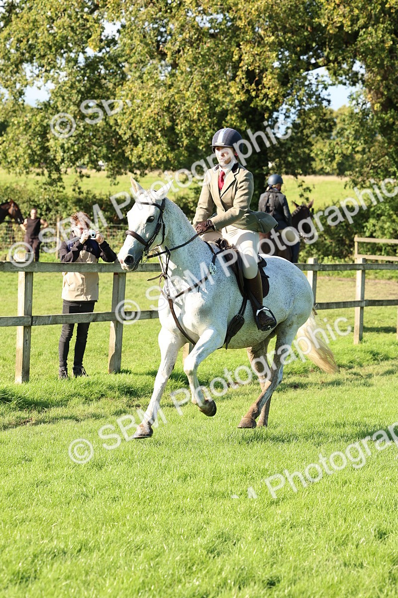 SBM_50128 - S34 - Novice & Newcomers Working Hunter