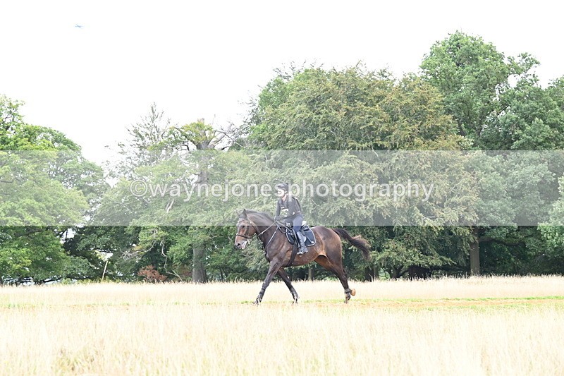 DSC_7607 - Time at Statue 13:16 to 13:52