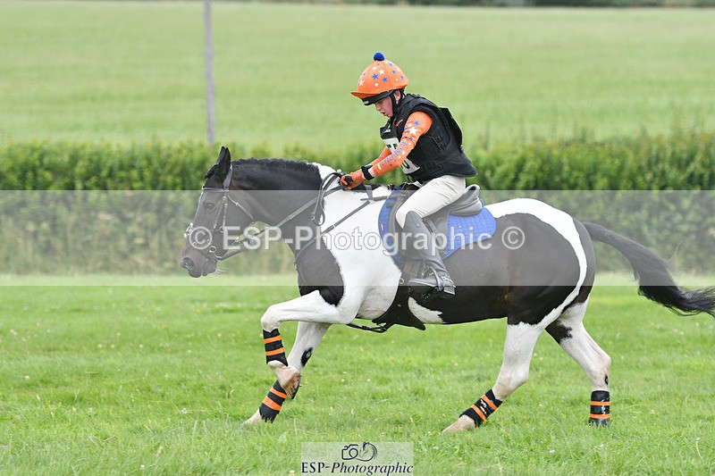 240804-144244-15111 - 555-Jack_Wish-WESTERLAKE_BUTTONWEED