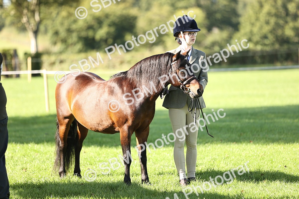 SBM_15939 - S1 - TSR in Hand Horse & Pony Showing
