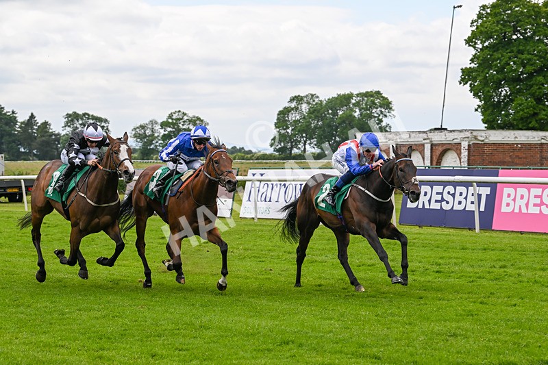070624-Race 5-Kings Merchant-9987 - Race 5